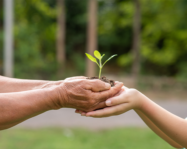 تبرع تجريبي 3